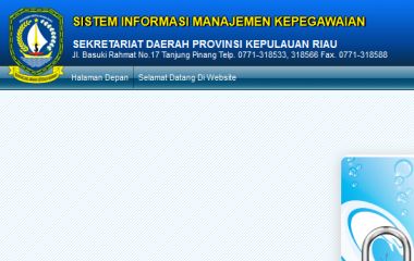 simpeg
